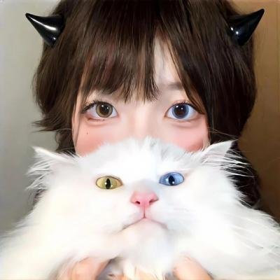 孔雀南飞